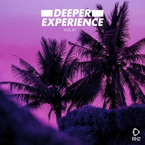 VA - Deeper Experience, Vol. 47 [RH2COMP2204]